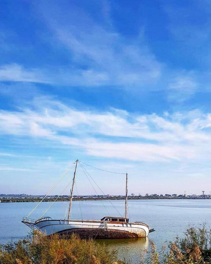 Studio 237 Port Camargue, Piscine, Climatisation, 2 Personnes Ле-Гро-дю-Руа Экстерьер фото